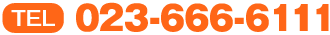 023-666-6111